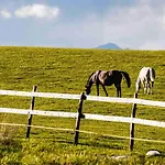 Apartmán Tatry Ziarce *