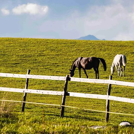Appartamento Tatry žiarce *